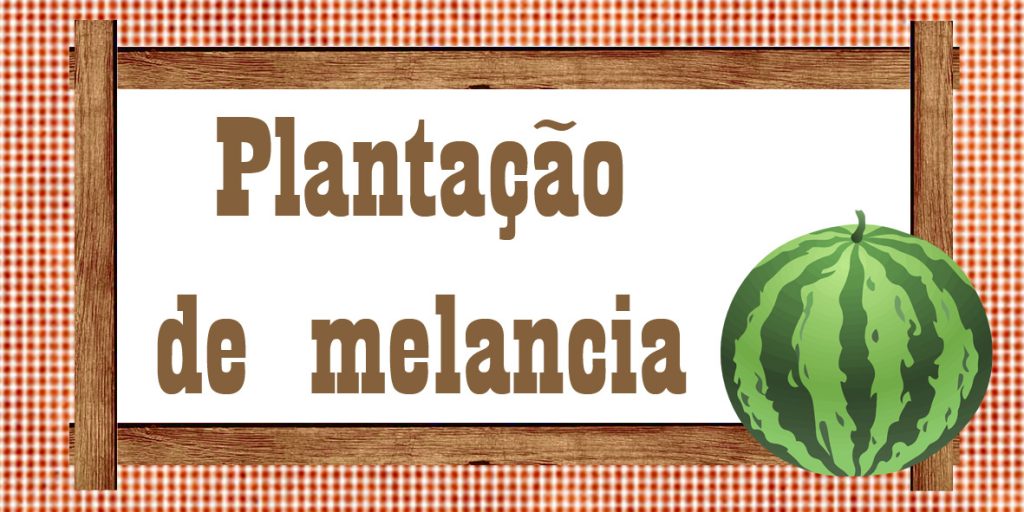 Plaquinha plantação de melancia para festa fazendinha