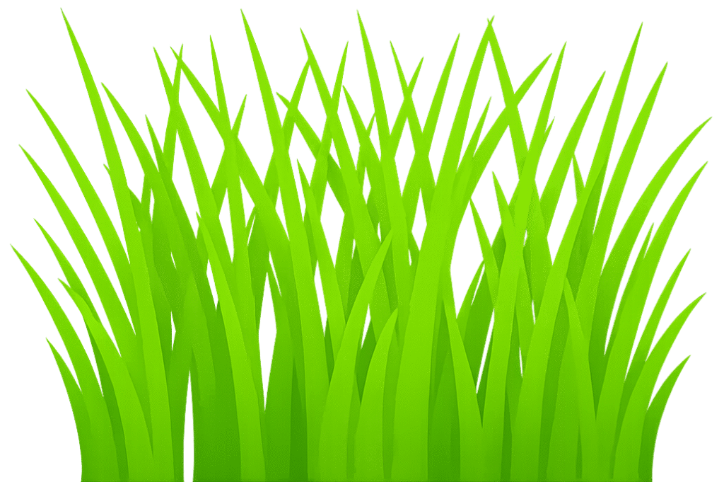 Graminha vetorizada verde em estilo decorativo, com fundo transparente, ideal para personalização de artes digitais e festas.